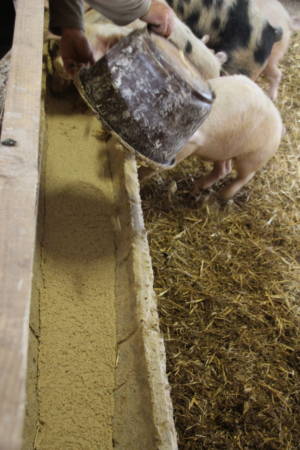 nourriture interieure2