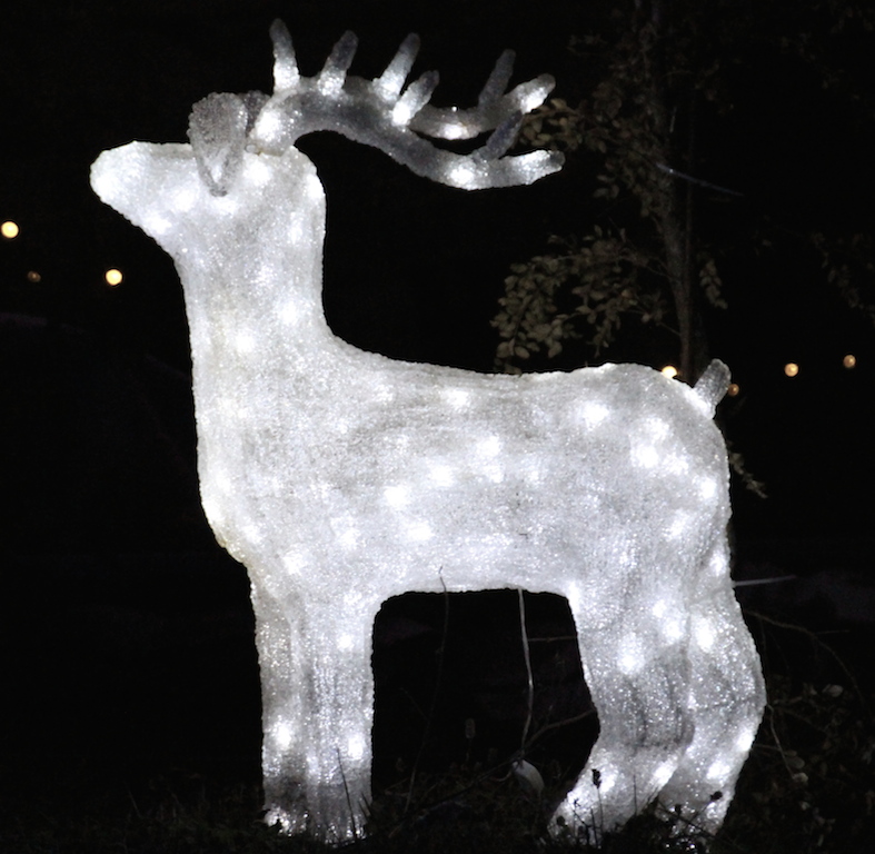 cerf lumineux